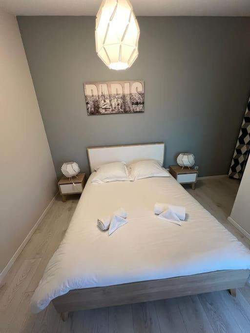 Le Paris Eiffel - Appartement Cosy En Plein Centre Bourgoin-Jallieu Exterior foto